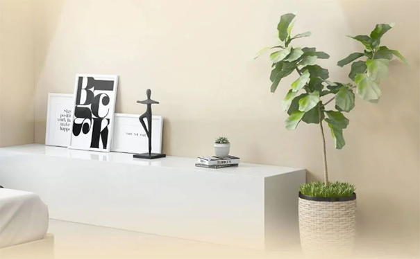 墻面臟污、發(fā)霉、不整潔怎么辦？